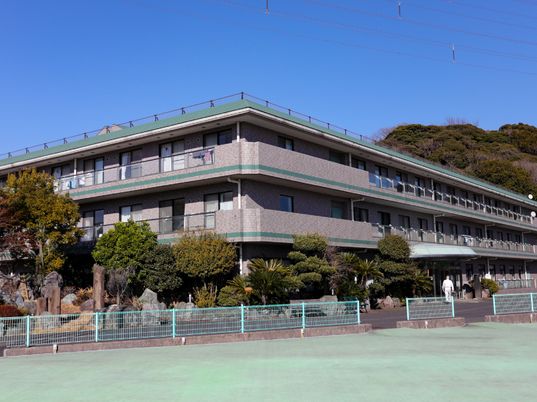 緑豊かな外観の建物