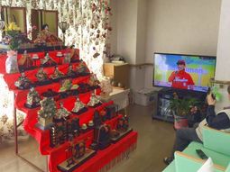 居室とひな人形セット