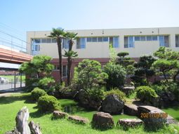 緑豊かな中庭の風景