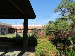 緑豊かな中庭の風景