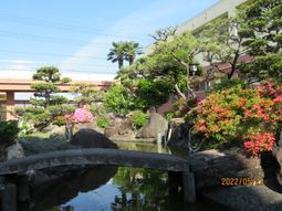 和風庭園の風景