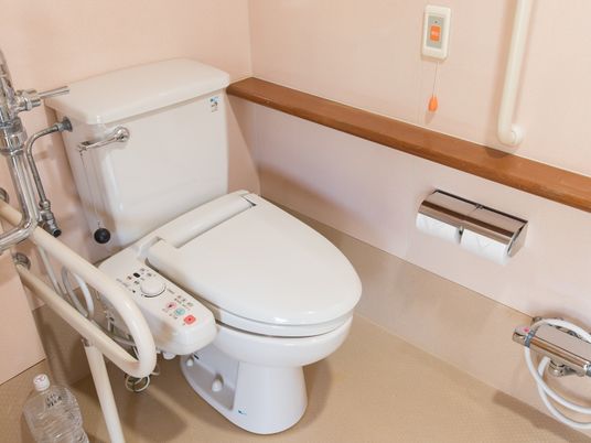 施設の写真 トイレに洗浄暖房機能つきの便座が設置されている。トイレットペーパーホルダーの上に棚板があり、その上の方に呼び出しボタンが付けられている