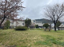 広々とした庭