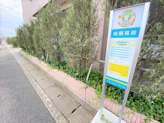 案内看板と植栽の風景