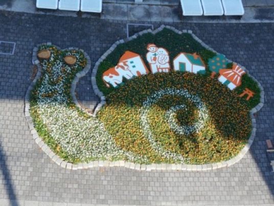 花壇のカメ  