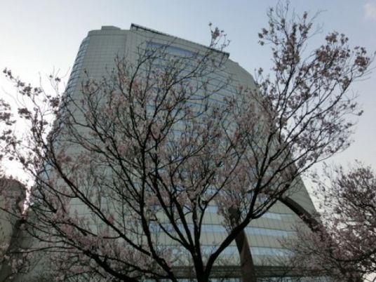 木々越しの建物外観  