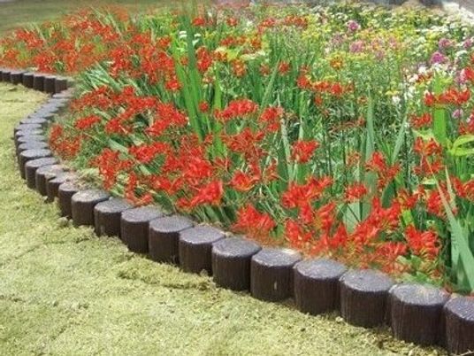 華やかな花の中庭