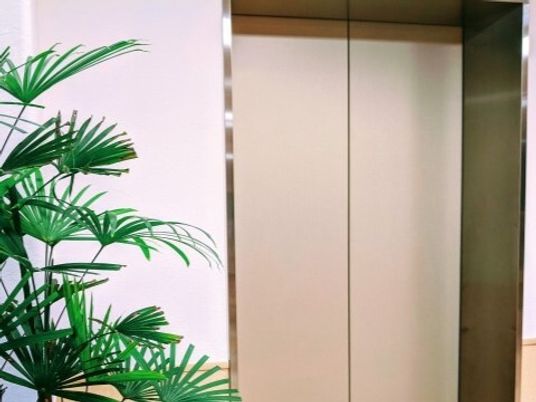 エレベーターと観葉植物
