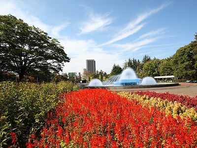 中庭の花と噴水