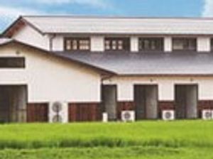 緑に囲まれた建物