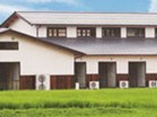 緑に囲まれた建物