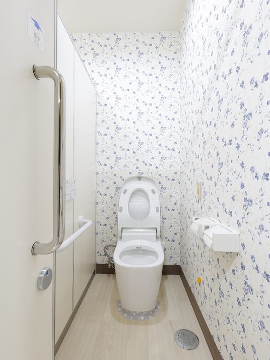 トイレの清潔な空間