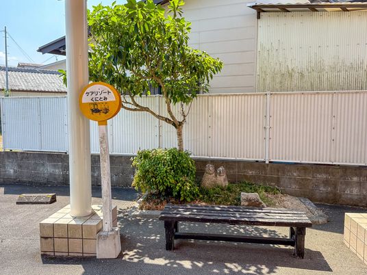 ベンチと緑の中庭