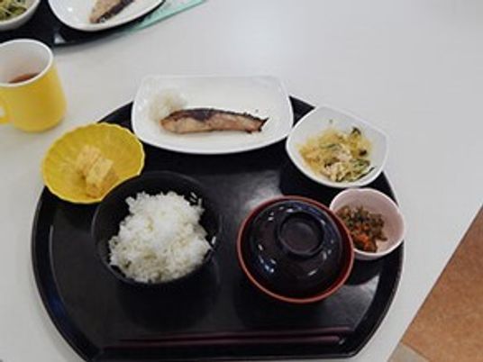 和食スタイルの食事内容