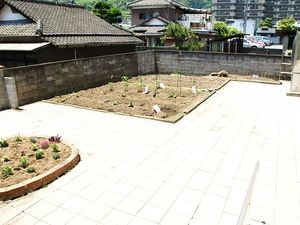 手入れ前の中庭  