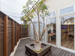 中庭の木とベンチ