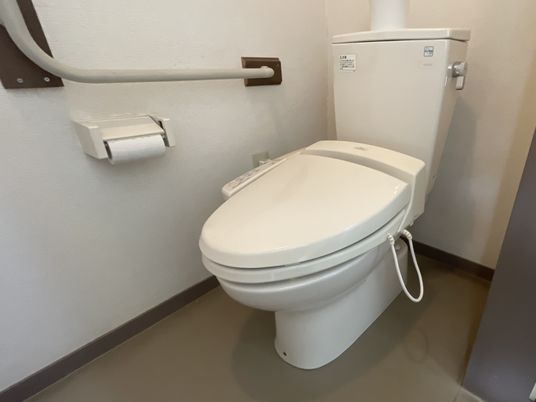 安全な設備のトイレ