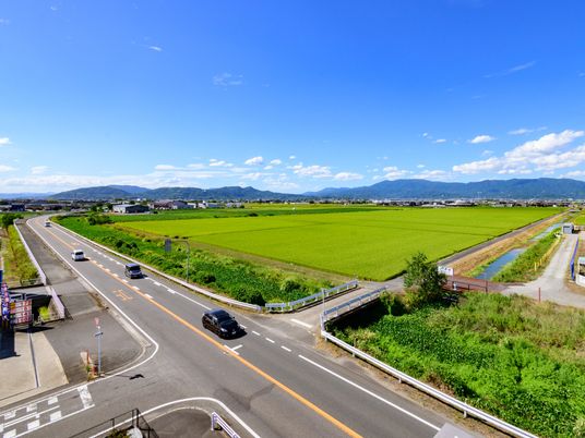 緑豊かな風景の外観