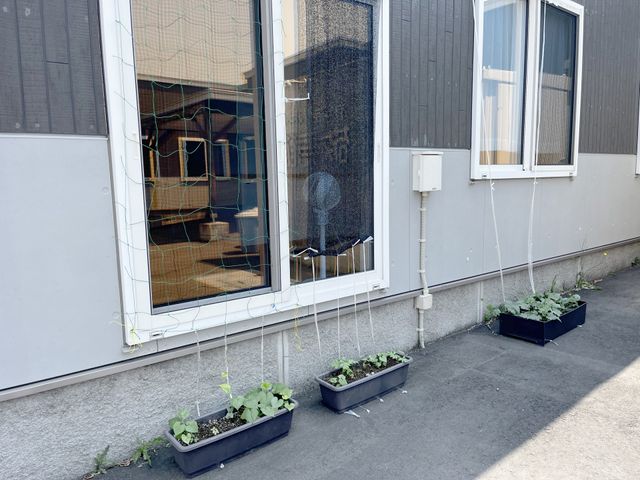 壁際のプランター 外観 施設の外には、育成中の植物が並んでいます。緑に囲まれた落ち着いた環境が魅力です。