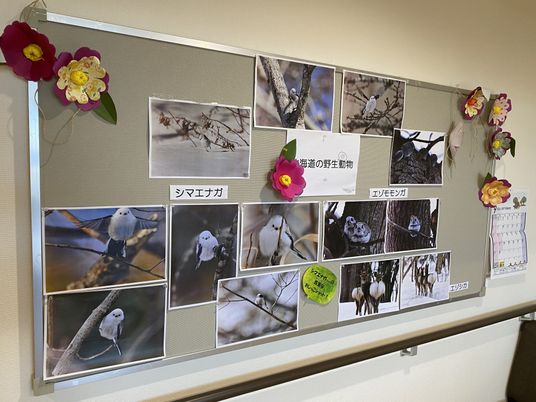 掲示物が飾られた壁面