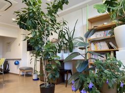 植物が彩る快適な空間