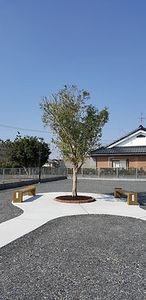 木とベンチの庭