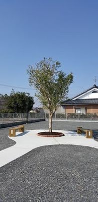 木とベンチの庭