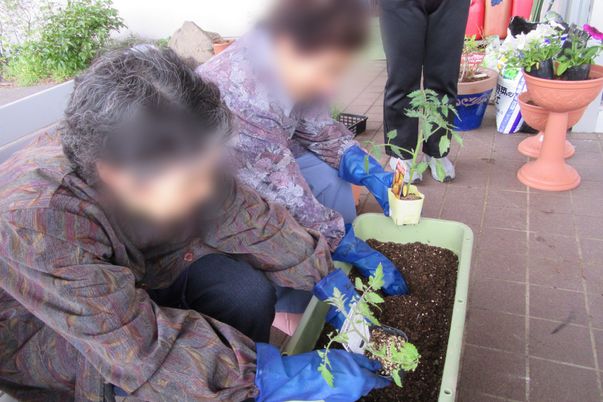 植物を植える庭先