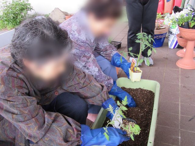 植物を植える庭先 庭 利用者が植物を植える様子は、園芸活動の楽しさを感じられます。自然と触れ合う貴重な機会です。