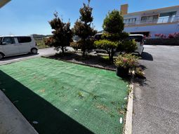 駐車場と庭