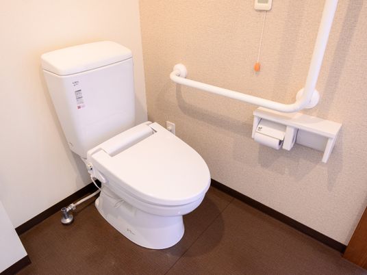 手すり付き清潔なトイレ