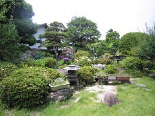 緑広がる庭  