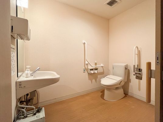 手すり付きトイレ空間