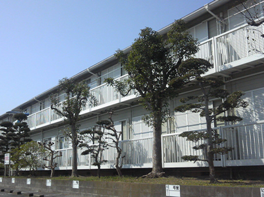 庭木がある建物の外観