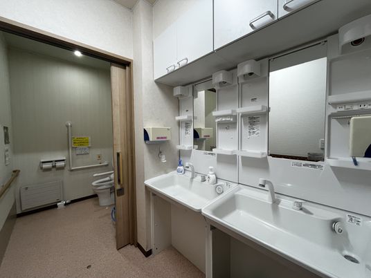 洗面台とトイレが見える洗面所