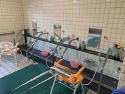 シャワーチェアと手すりの浴室
