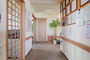 廊下の掲示物と植物