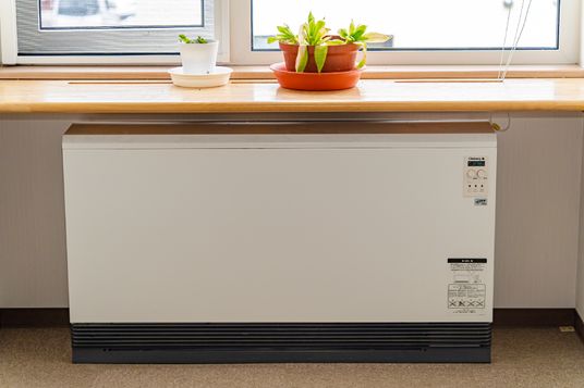 暖房器具と観葉植物