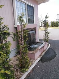 緑あふれる小さな噴水