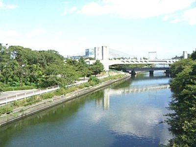 川沿いの自然風景