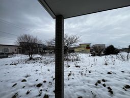 雪が積もる庭