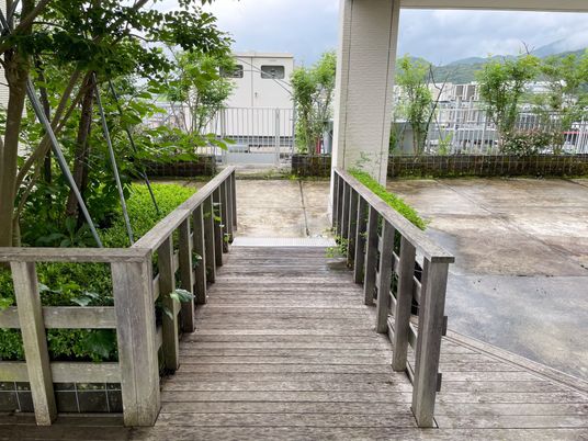 緑に囲まれたアプローチ