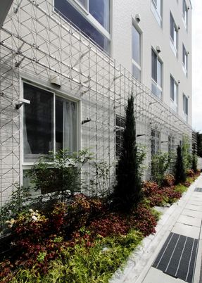 緑と建築の融合した外観