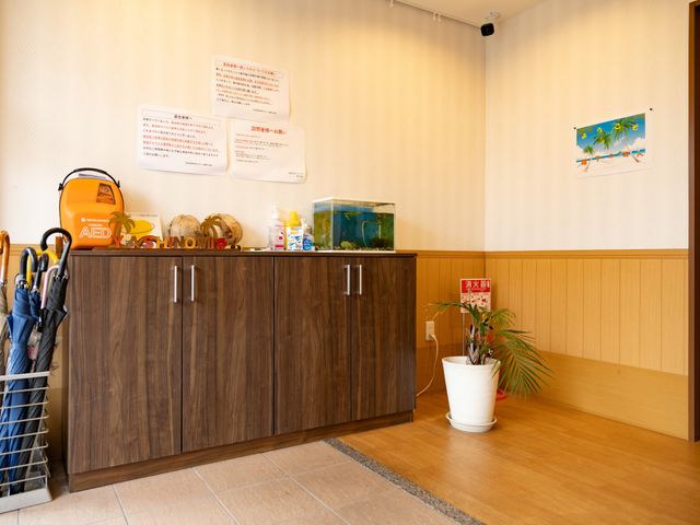 温かみのあるエントランス エントランス 落ち着いた木目調の収納で、訪問者を温かく迎えます。観葉植物が気持ちを和らげてくれます。