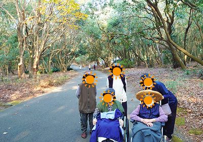 森の中を散策する人々