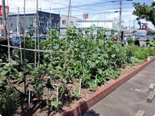 緑豊かな中庭の一角