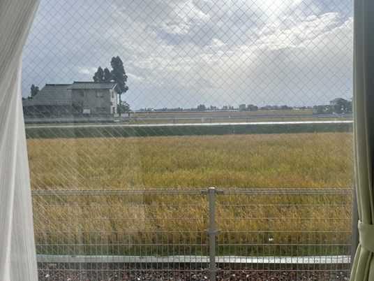 広大な風景が見える窓