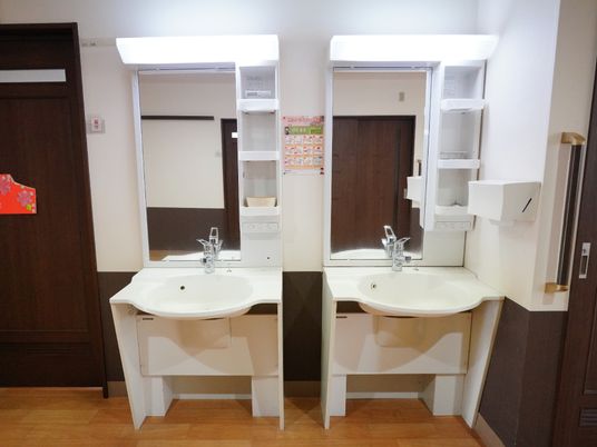 清潔な洗面台二台設置