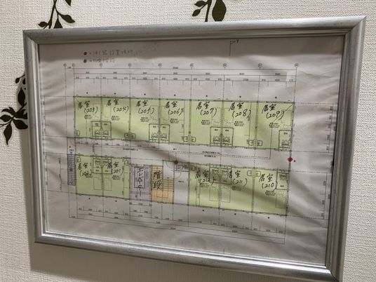 掲示物