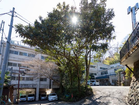 日差しが差し込む外観